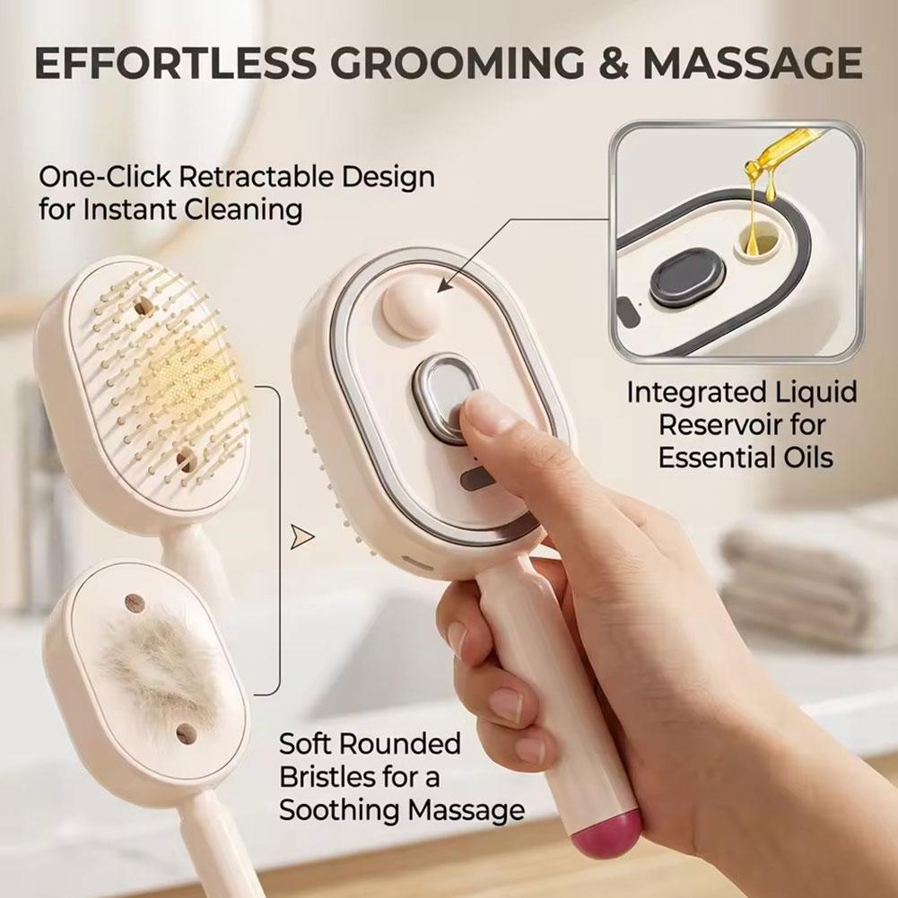 전기 스프레이 빗 세트 (에어백 마사지, 에센셜 오일  - Hair Care Set 리뷰 및 가격
